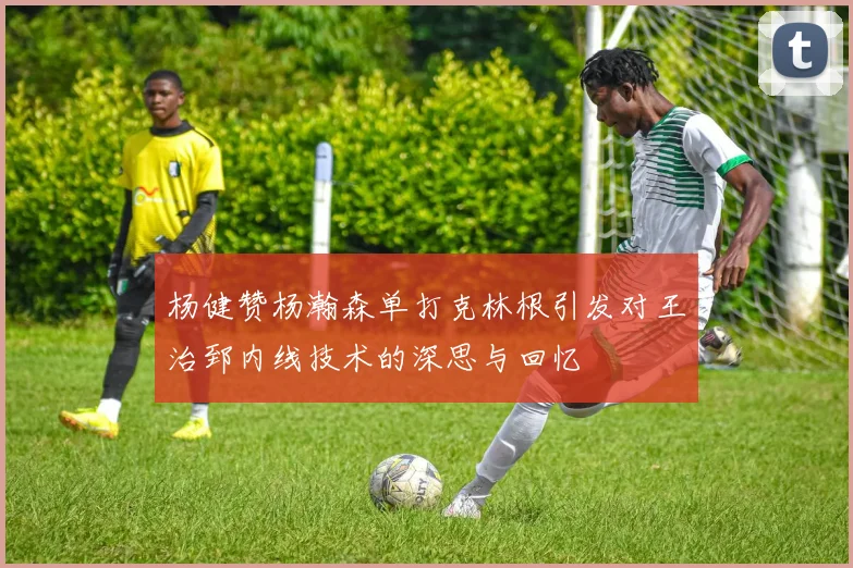 杨健赞杨瀚森单打克林根引发对王治郅内线技术的深思与回忆