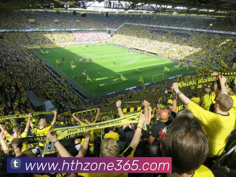 App Interface Preview